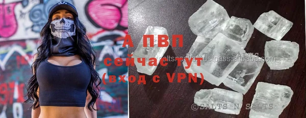 гашик Беломорск