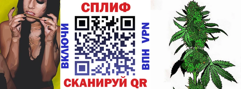 Бошки Шишки семена mega онион Балахна